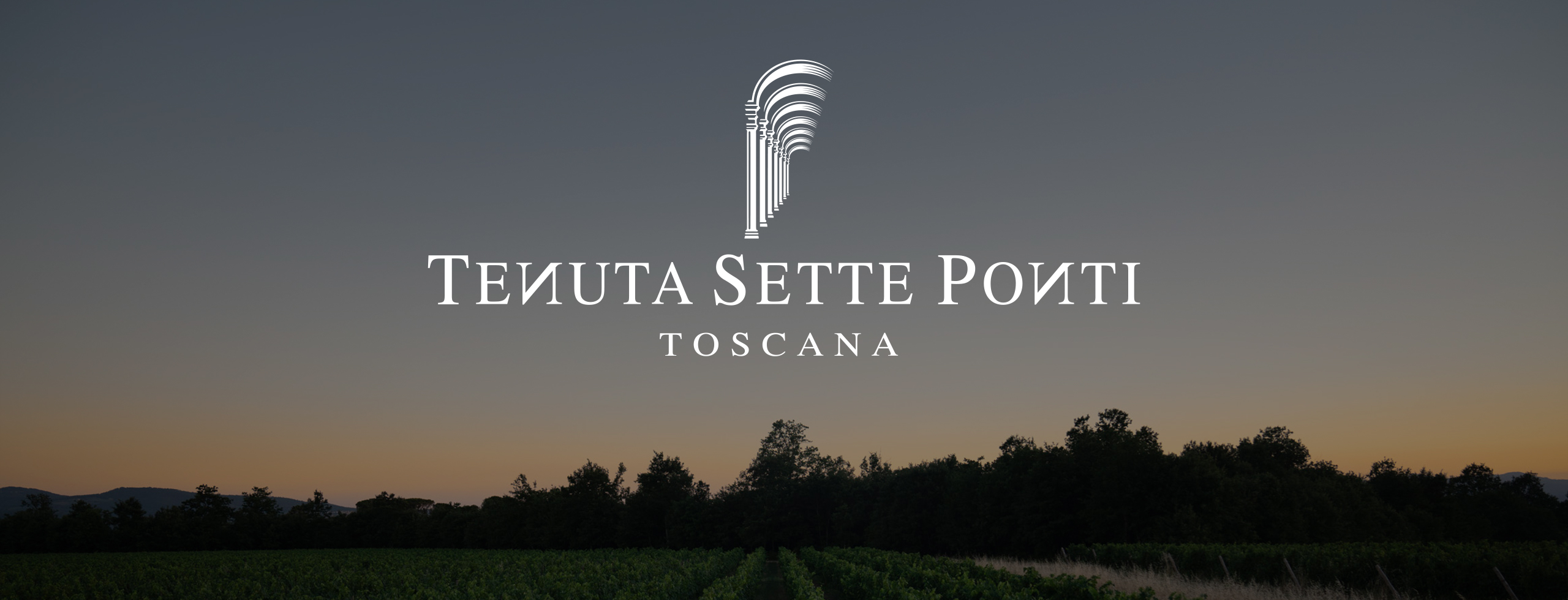 sette-header